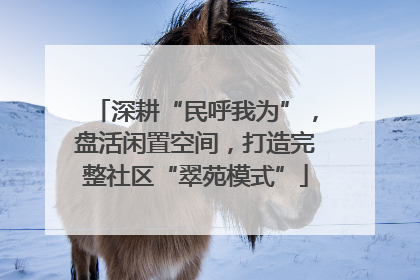 深耕“民呼我为”，盘活闲置空间，打造完整社区“翠苑模式”