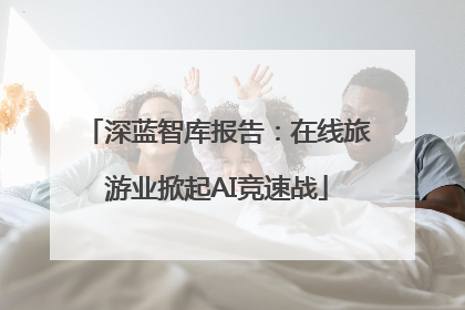 深蓝智库报告：在线旅游业掀起AI竞速战