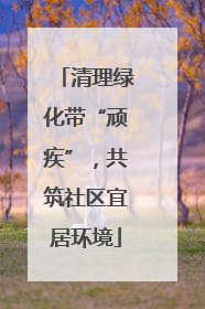 清理绿化带“顽疾”，共筑社区宜居环境