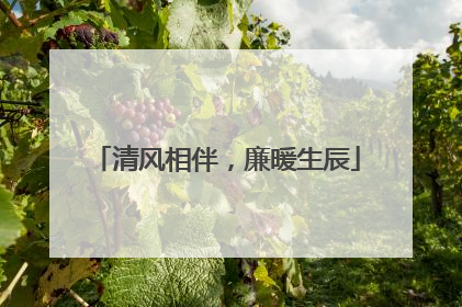清风相伴，廉暖生辰