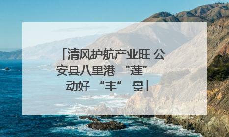 清风护航产业旺 公安县八里港 “莲” 动好 “丰” 景