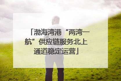 渤海湾港“两湾一航”供应链服务北上通道稳定运营