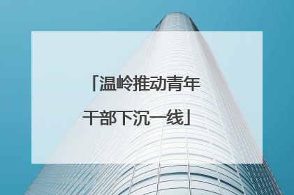 温岭推动青年干部下沉一线