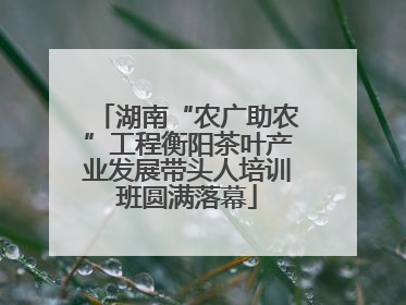 湖南“农广助农”工程衡阳茶叶产业发展带头人培训班圆满落幕