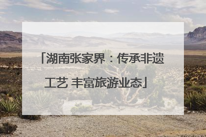 湖南张家界：传承非遗工艺 丰富旅游业态