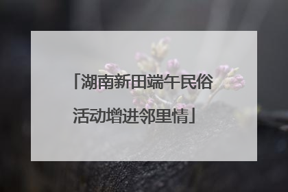 湖南新田端午民俗活动增进邻里情