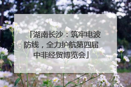 湖南长沙：筑牢电波防线，全力护航第四届中非经贸博览会