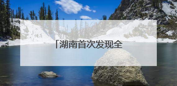 湖南首次发现全新世大熊猫化石