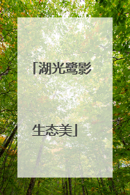 湖光鹭影生态美
