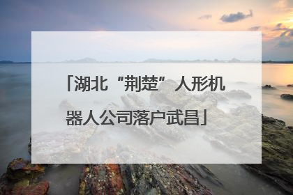 湖北“荆楚”人形机器人公司落户武昌