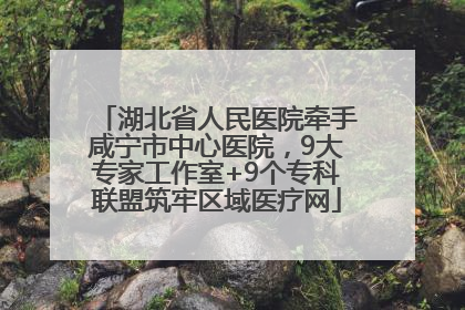 湖北省人民医院牵手咸宁市中心医院，9大专家工作室+9个专科联盟筑牢区域医疗网