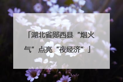 湖北省郧西县“烟火气”点亮“夜经济”
