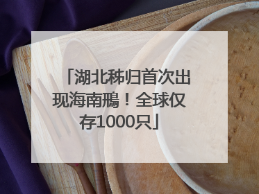 湖北秭归首次出现海南鳽！全球仅存1000只