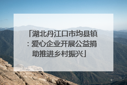 湖北丹江口市均县镇：爱心企业开展公益捐助推进乡村振兴