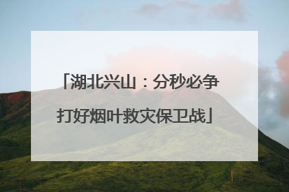 湖北兴山：分秒必争 打好烟叶救灾保卫战