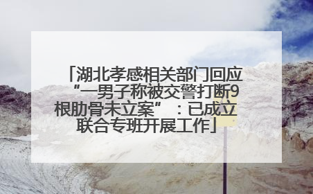 湖北孝感相关部门回应“一男子称被交警打断9根肋骨未立案”：已成立联合专班开展工作