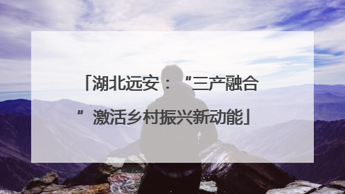 湖北远安：“三产融合”激活乡村振兴新动能