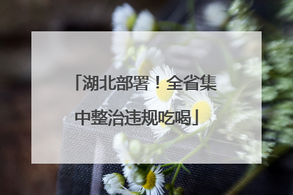 湖北部署！全省集中整治违规吃喝