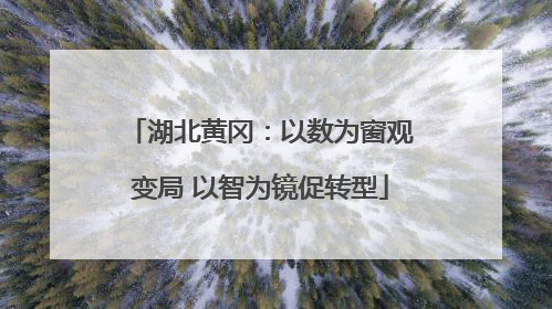湖北黄冈：以数为窗观变局 以智为镜促转型