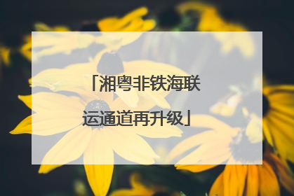 湘粤非铁海联运通道再升级