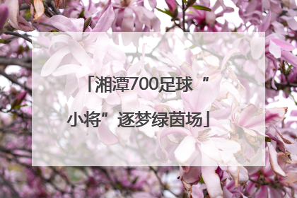 湘潭700足球“小将”逐梦绿茵场