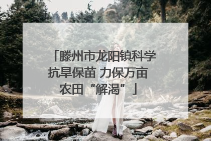 滕州市龙阳镇科学抗旱保苗 力保万亩农田“解渴”
