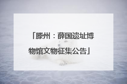 滕州：薛国遗址博物馆文物征集公告