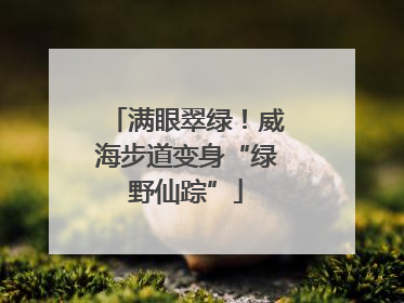 满眼翠绿！威海步道变身“绿野仙踪”