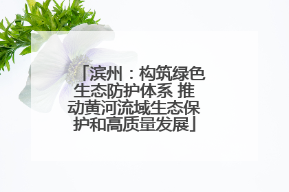 滨州：构筑绿色生态防护体系 推动黄河流域生态保护和高质量发展