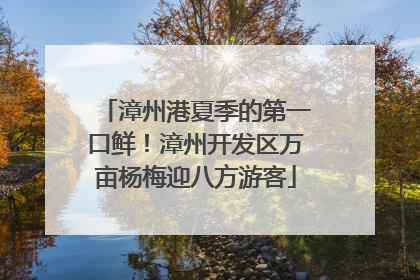 漳州港夏季的第一口鲜！漳州开发区万亩杨梅迎八方游客