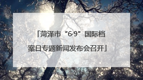 菏泽市“6·9”国际档案日专题新闻发布会召开