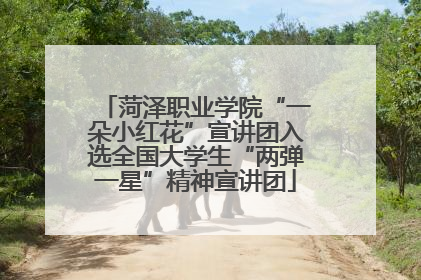 菏泽职业学院“一朵小红花”宣讲团入选全国大学生“两弹一星”精神宣讲团