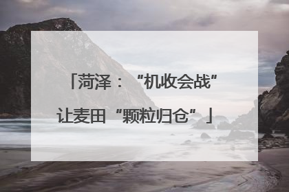 菏泽：“机收会战”让麦田“颗粒归仓”