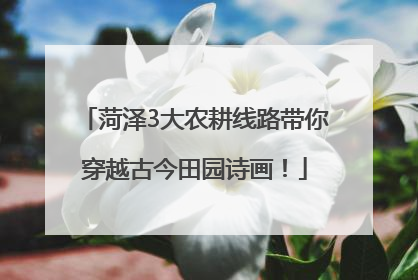 菏泽3大农耕线路带你穿越古今田园诗画！