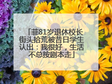 菲81岁退休校长街头拾荒被昔日学生认出：我很好，生活不总按剧本走