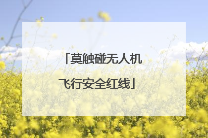 莫触碰无人机飞行安全红线