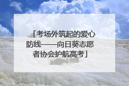 考场外筑起的爱心防线——向日葵志愿者协会护航高考