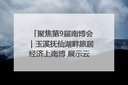 聚焦第9届南博会｜玉溪抚仙湖畔旅居经济上南博 展示云南生活新样本