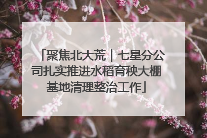 聚焦北大荒｜七星分公司扎实推进水稻育秧大棚基地清理整治工作
