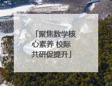 聚焦数学核心素养 校际共研促提升