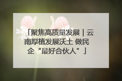 聚焦高质量发展｜云南厚植发展沃土 做民企“最好合伙人”