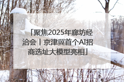 聚焦2025年廊坊经洽会丨京津冀首个AI招商选址大模型亮相