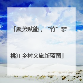 聚势赋能，“竹”梦桃江乡村文旅新蓝图