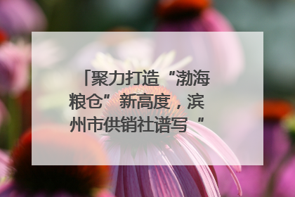 聚力打造“渤海粮仓”新高度，滨州市供销社谱写“三夏”丰收乐章