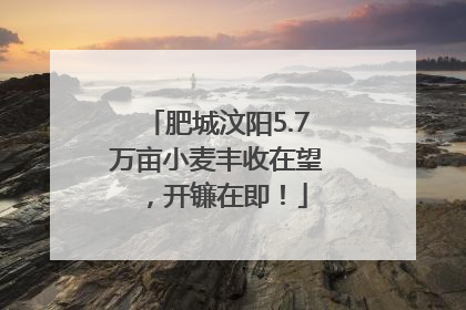 肥城汶阳5.7万亩小麦丰收在望，开镰在即！