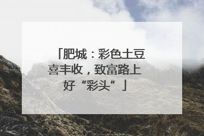 肥城：彩色土豆喜丰收，致富路上好“彩头”