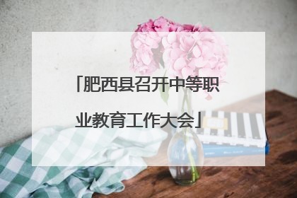 肥西县召开中等职业教育工作大会