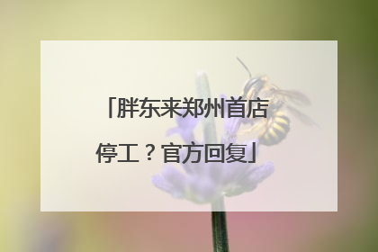 胖东来郑州首店停工？官方回复