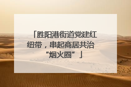 胜阳港街道党建红纽带，串起商居共治 “烟火圈”