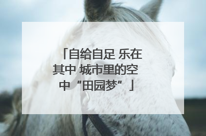 自给自足 乐在其中 城市里的空中“田园梦”
